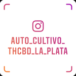 Auto_cultivo_THCBD_La_Plata