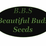 Profile picture of BeautifulBudsSeeds 420